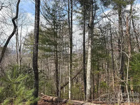00 Round Hill Road Bryson City NC 28713