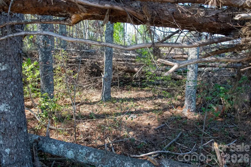 0000 Three Forks Lane Granite Falls NC 28630