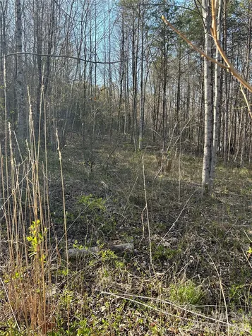 288 Coolbrook Road Union Grove NC 28689