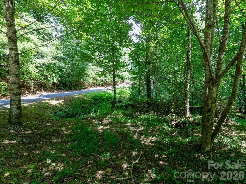 99999 Gordon Lane Burnsville NC 28714