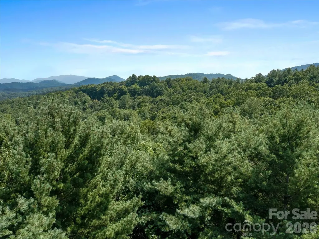 99999 Gordon Lane Burnsville NC 28714