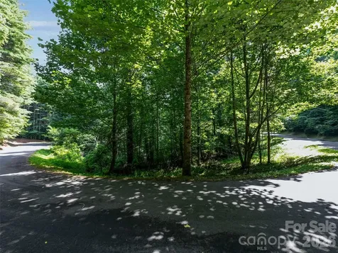 99999 Gordon Lane Burnsville NC 28714