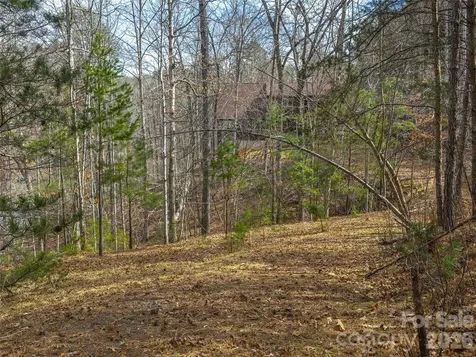 Lots 22 & 23 Lake Adger Parkway Mill Spring NC 28756