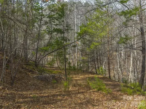 Lots 22 & 23 Lake Adger Parkway Mill Spring NC 28756