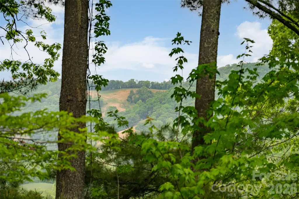 29 Longue Vue Lane Canton NC 28716