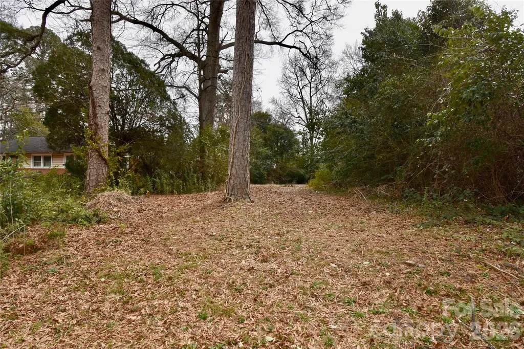 4210 Dinglewood Avenue Charlotte NC 28205