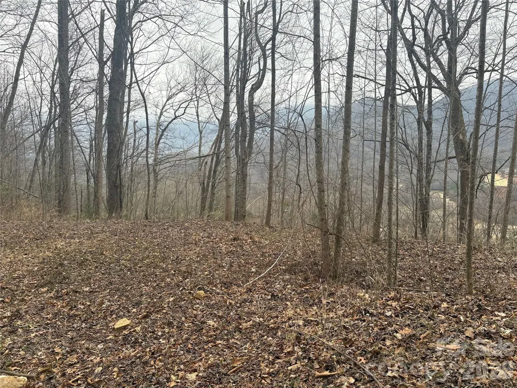 00 Country Club Drive Whittier NC 28789