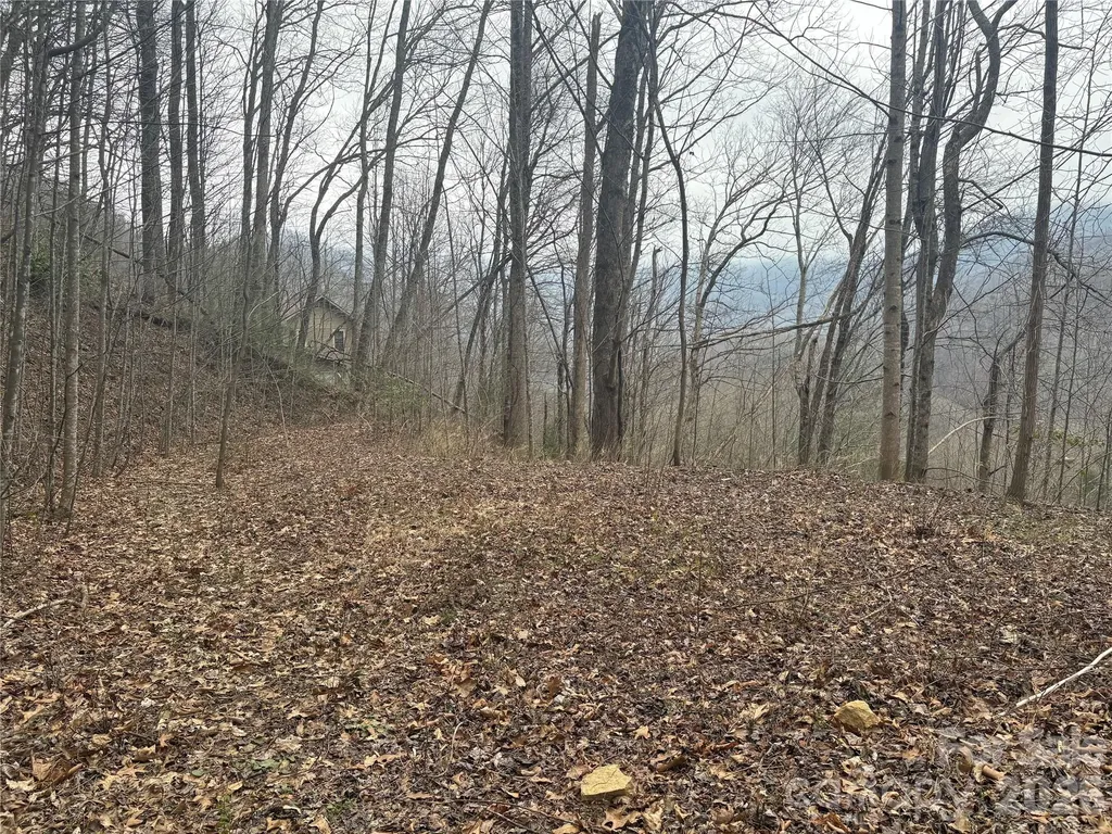 00 Country Club Drive Whittier NC 28789