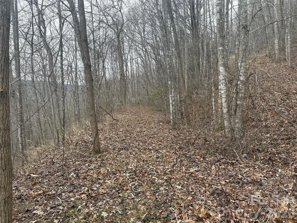 00 Country Club Drive Whittier NC 28789