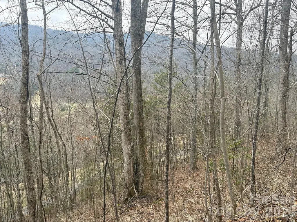 00 Country Club Drive Whittier NC 28789