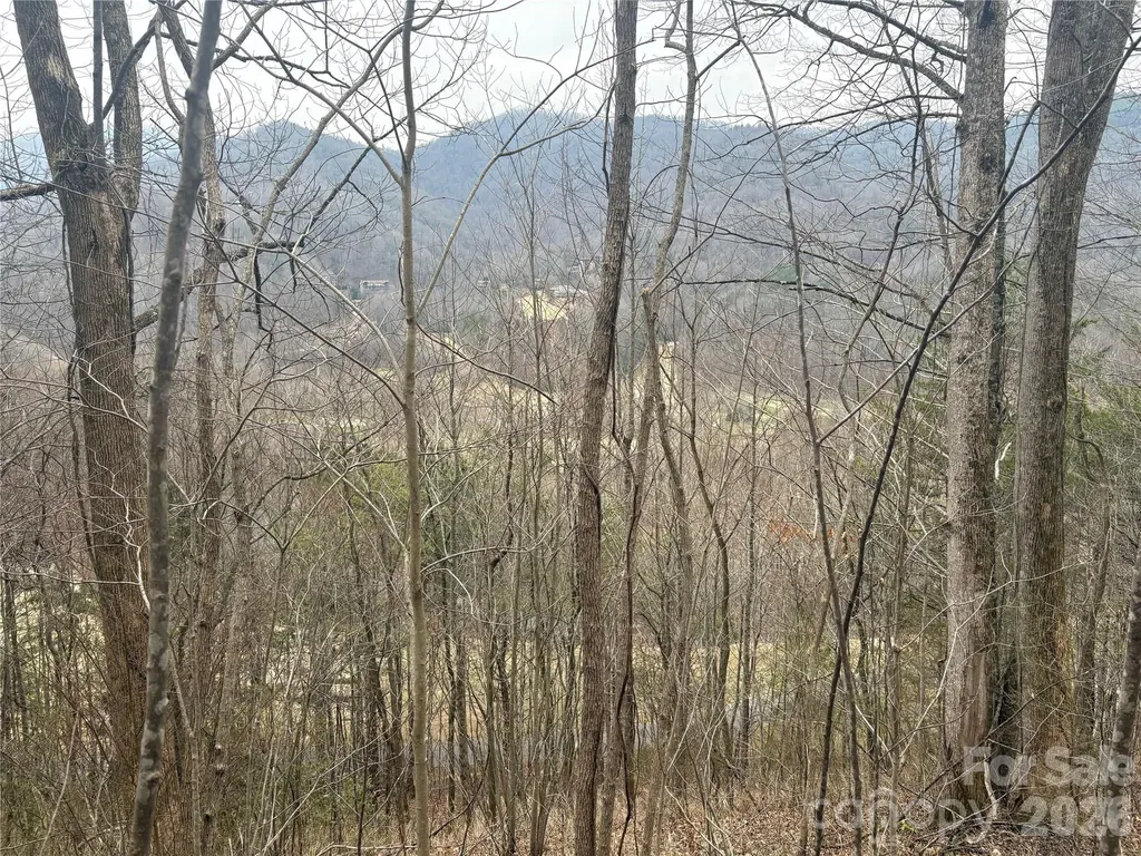 00 Country Club Drive Whittier NC 28789