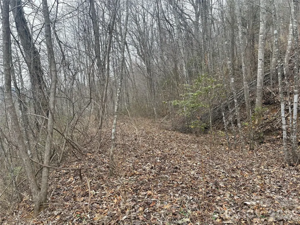 00 Country Club Drive Whittier NC 28789