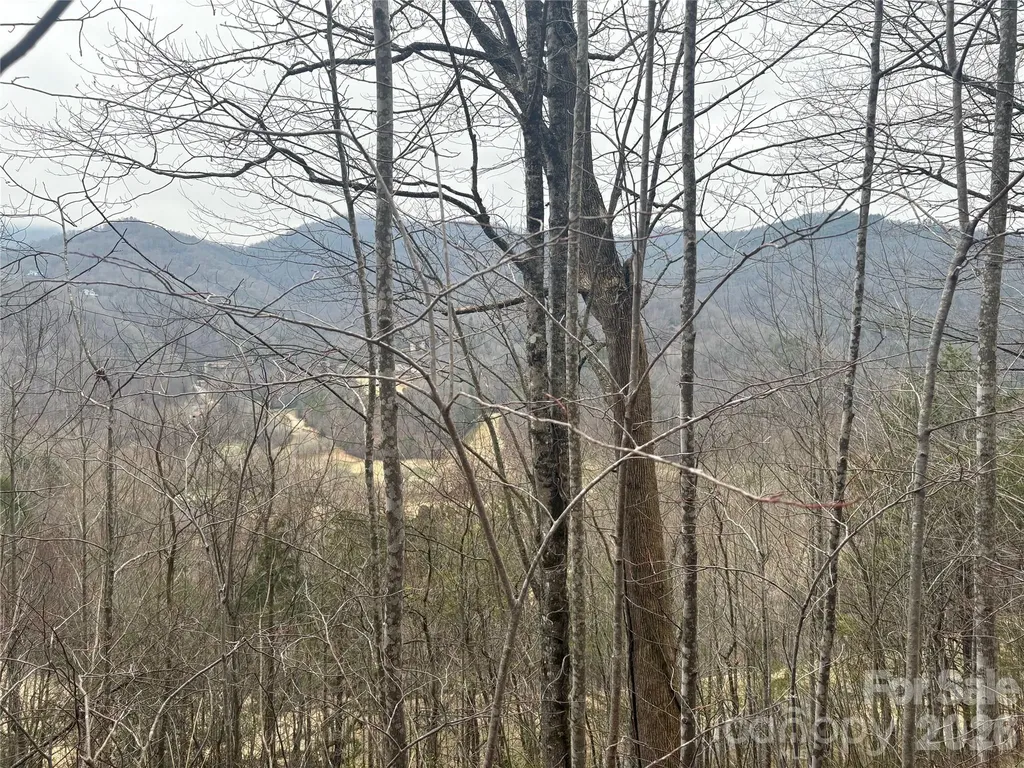 00 Country Club Drive Whittier NC 28789