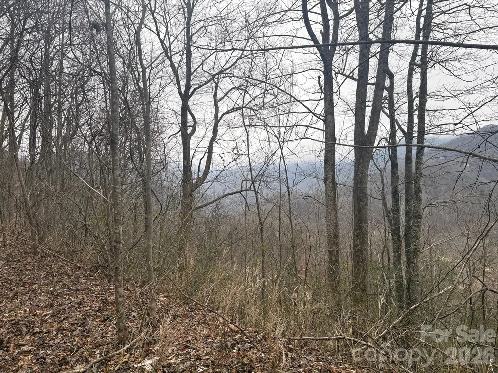 00 Country Club Drive Whittier NC 28789