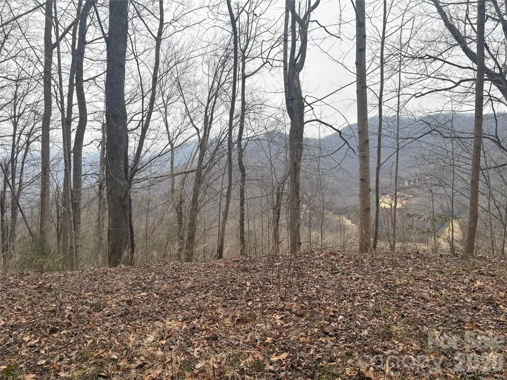 00 Country Club Drive Whittier NC 28789