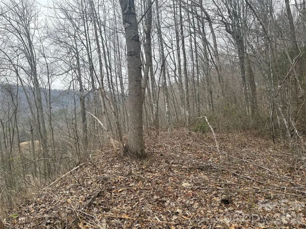 00 Country Club Drive Whittier NC 28789