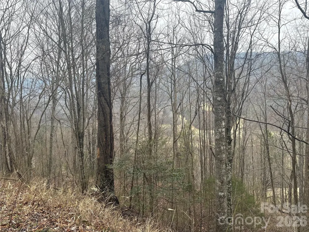 00 Country Club Drive Whittier NC 28789