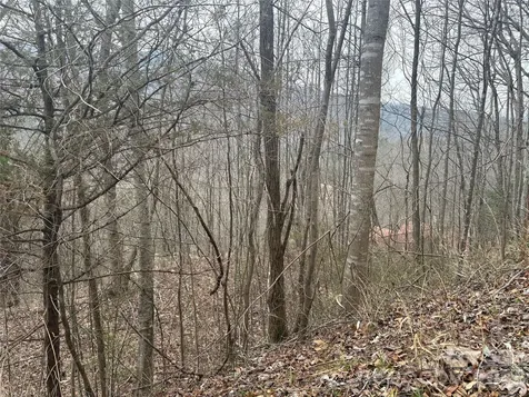 00 Country Club Drive Whittier NC 28789
