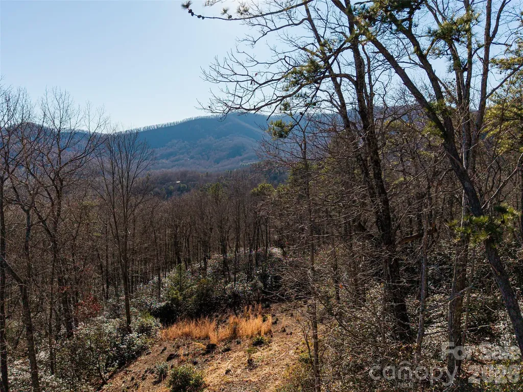 92 Smokey Ridge Trail Arden NC 28704