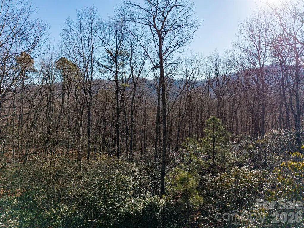 92 Smokey Ridge Trail Arden NC 28704