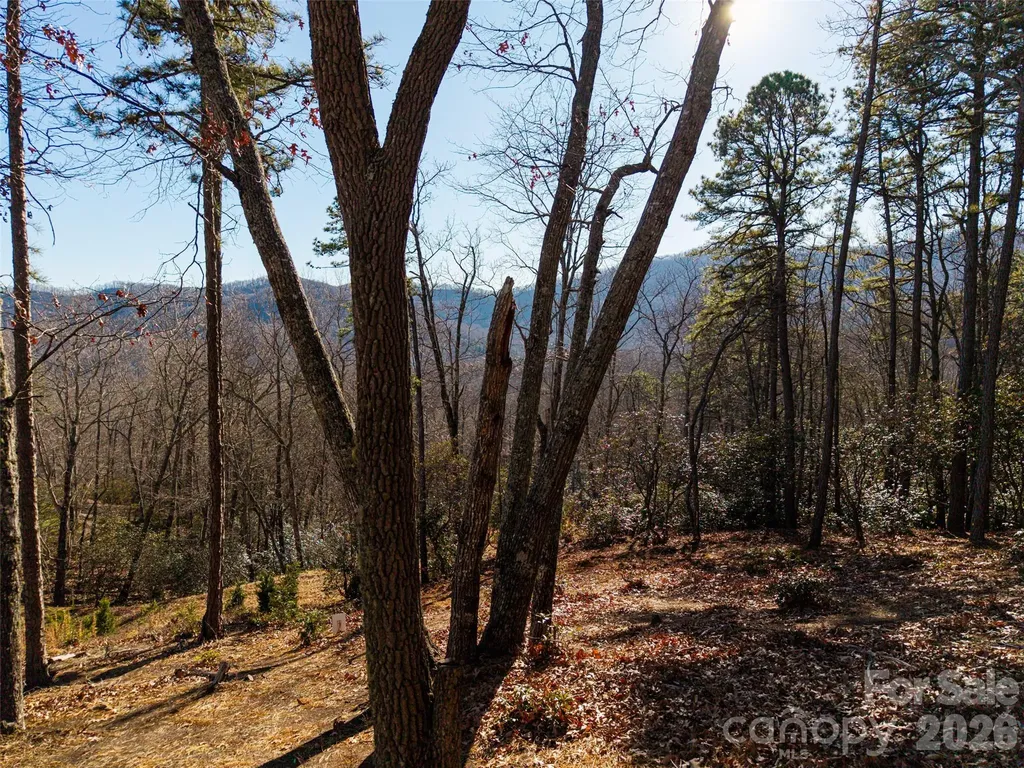 92 Smokey Ridge Trail Arden NC 28704