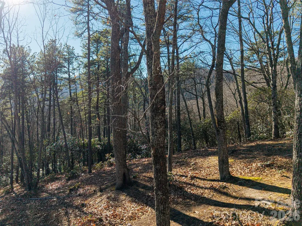 92 Smokey Ridge Trail Arden NC 28704