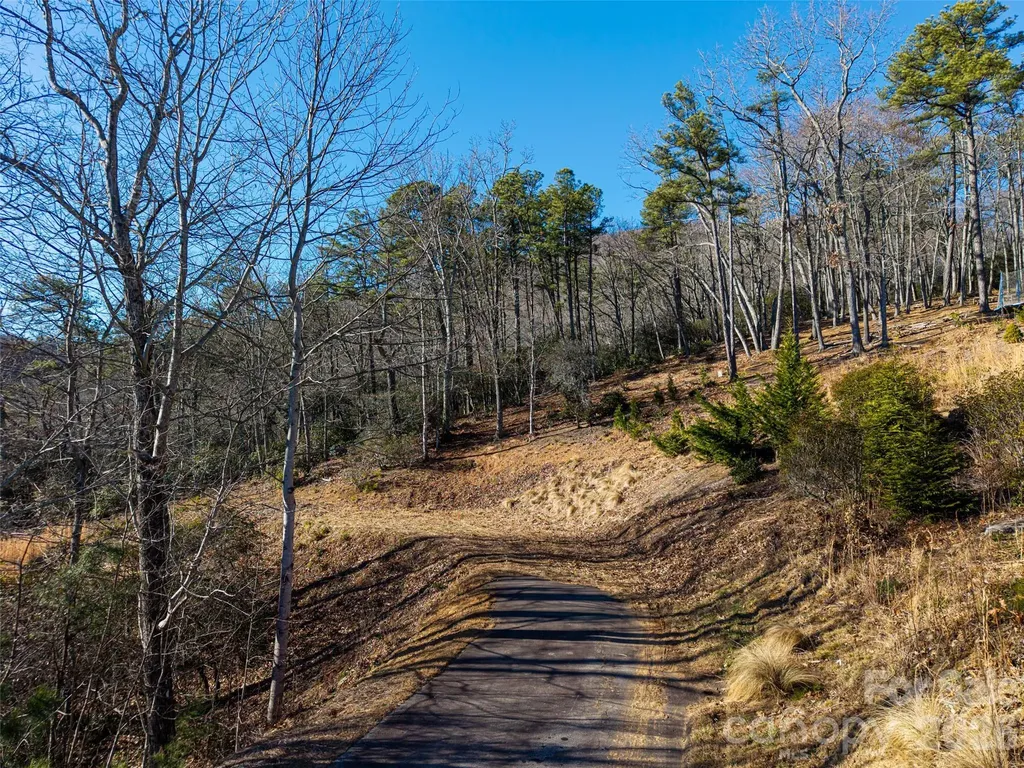 92 Smokey Ridge Trail Arden NC 28704