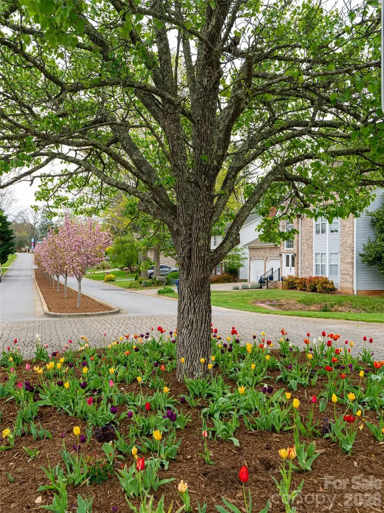 50 Park Avenue Asheville NC 28803