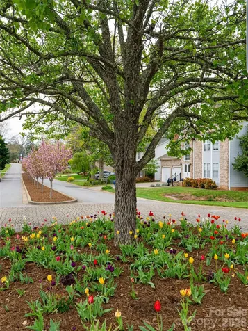 50 Park Avenue Asheville NC 28803