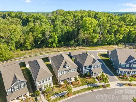 15721 White Quartz Lane Davidson NC 28036