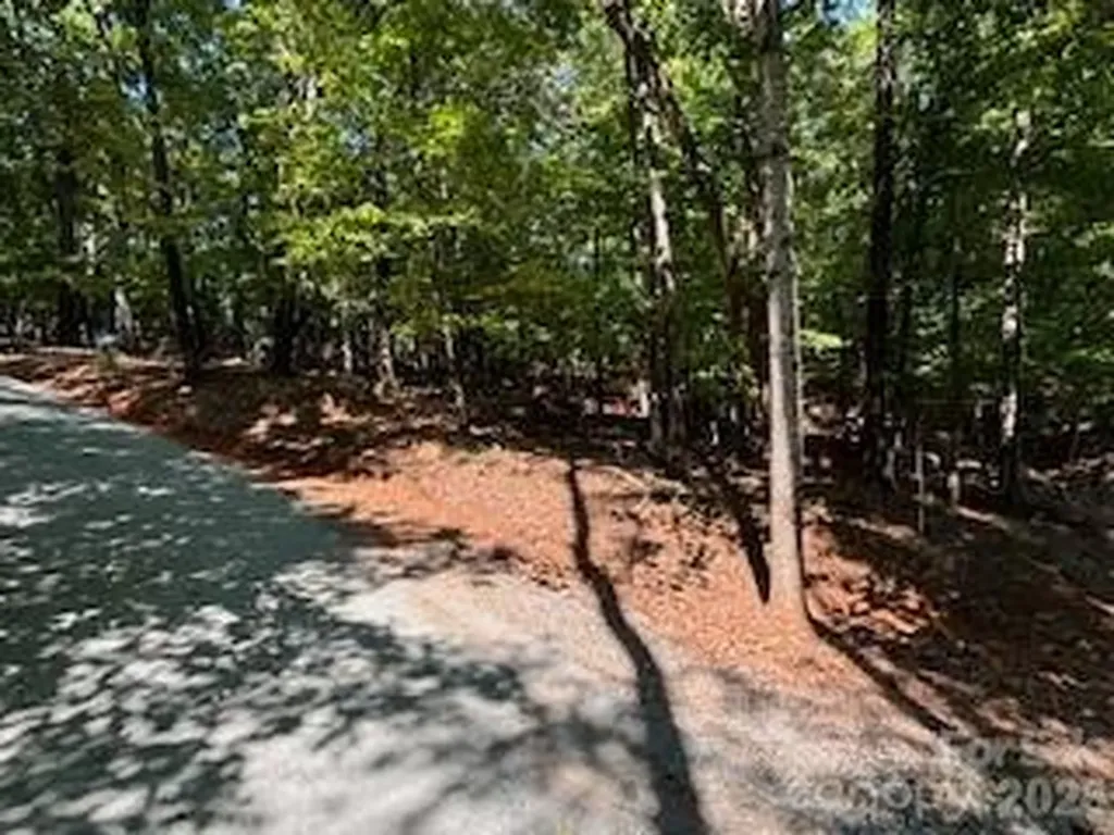 00 Johnson Circle Lake Lure NC 28746
