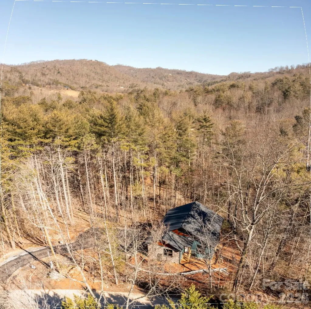 22 Deep Woods Road Weaverville NC 28787