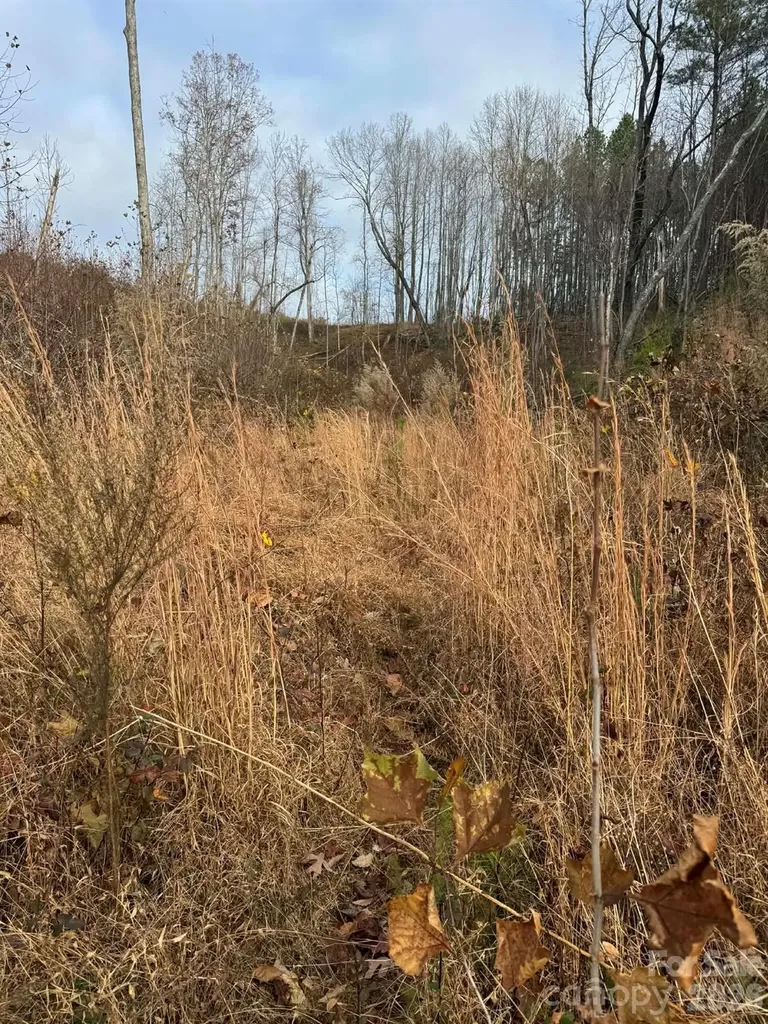 Tbd Old Railroad Grade Road Thurmond NC 28683