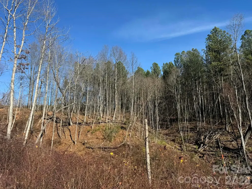 Tbd Old Railroad Grade Road Thurmond NC 28683