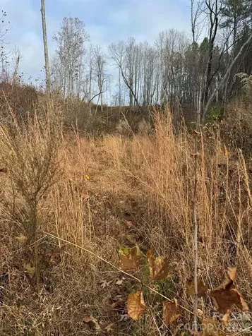 Tbd Old Railroad Grade Road Thurmond NC 28683
