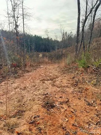 Tbd Old Railroad Grade Road Thurmond NC 28683