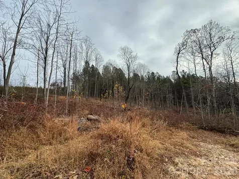Tbd Old Railroad Grade Road Thurmond NC 28683