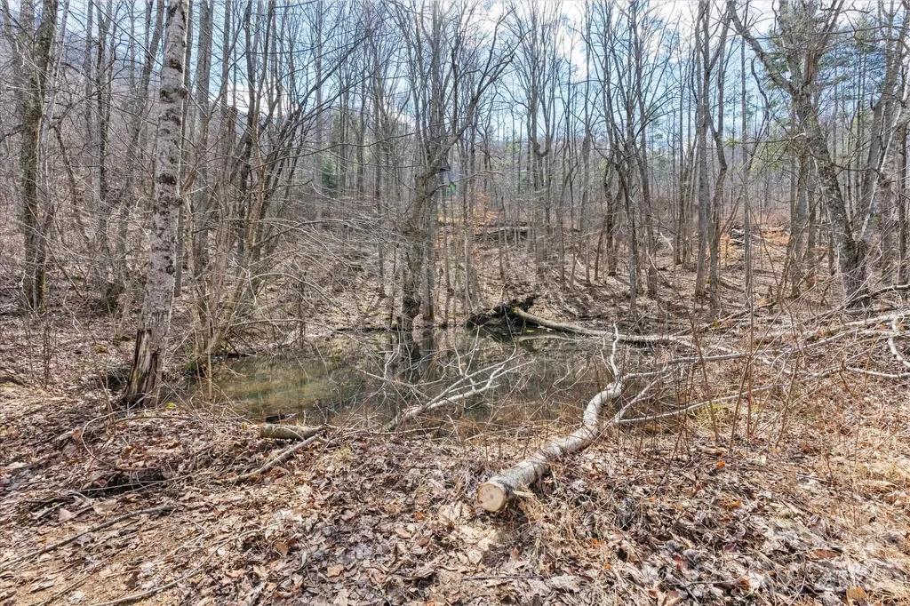 140 Wild Mountain Lane Barnardsville NC 28709