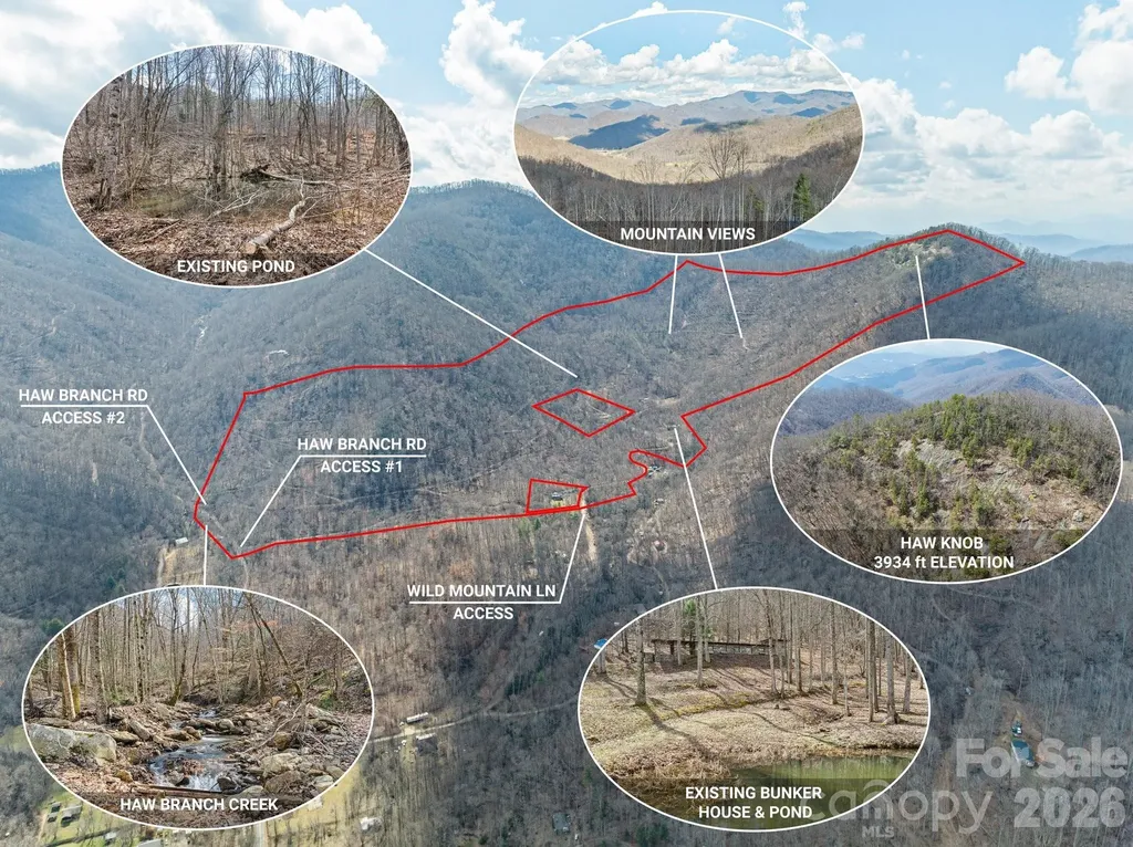 140 Wild Mountain Lane Barnardsville NC 28709