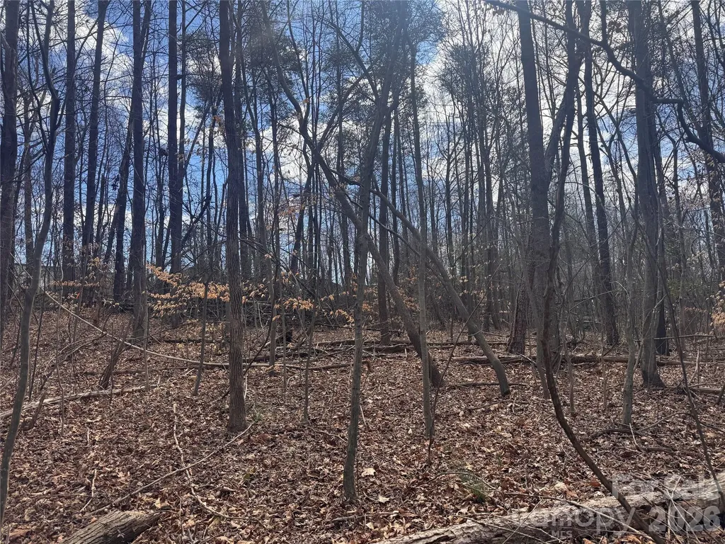 3924 Deer Run Drive NE Conover NC 28613