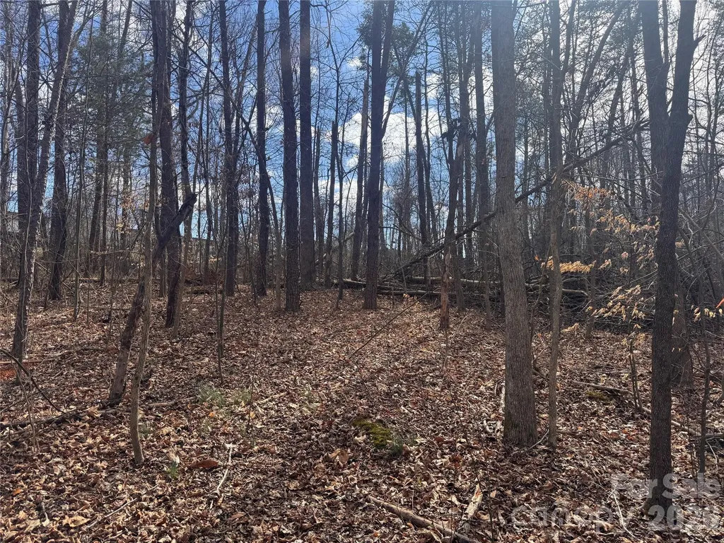 3924 Deer Run Drive NE Conover NC 28613