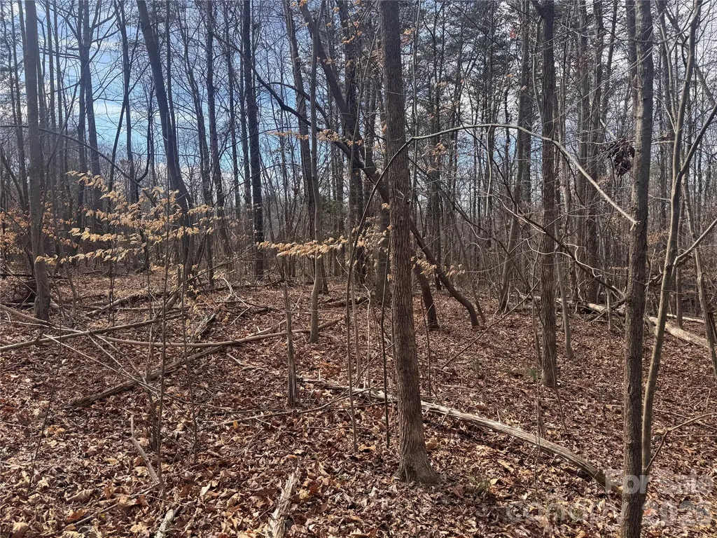 3924 Deer Run Drive NE Conover NC 28613