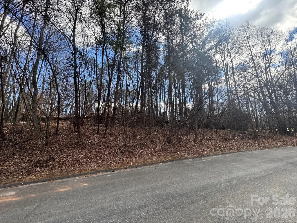 3924 Deer Run Drive NE Conover NC 28613