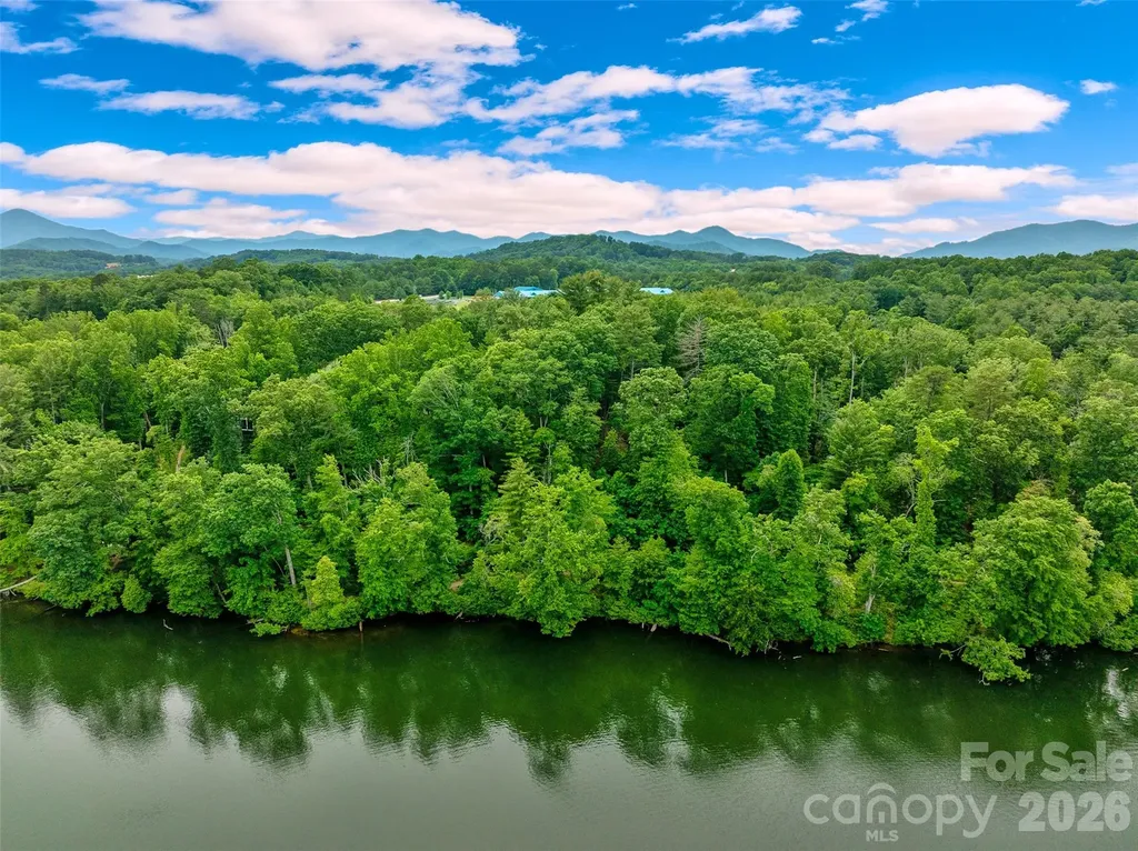 17 Hendrickson Court Candler NC 28715