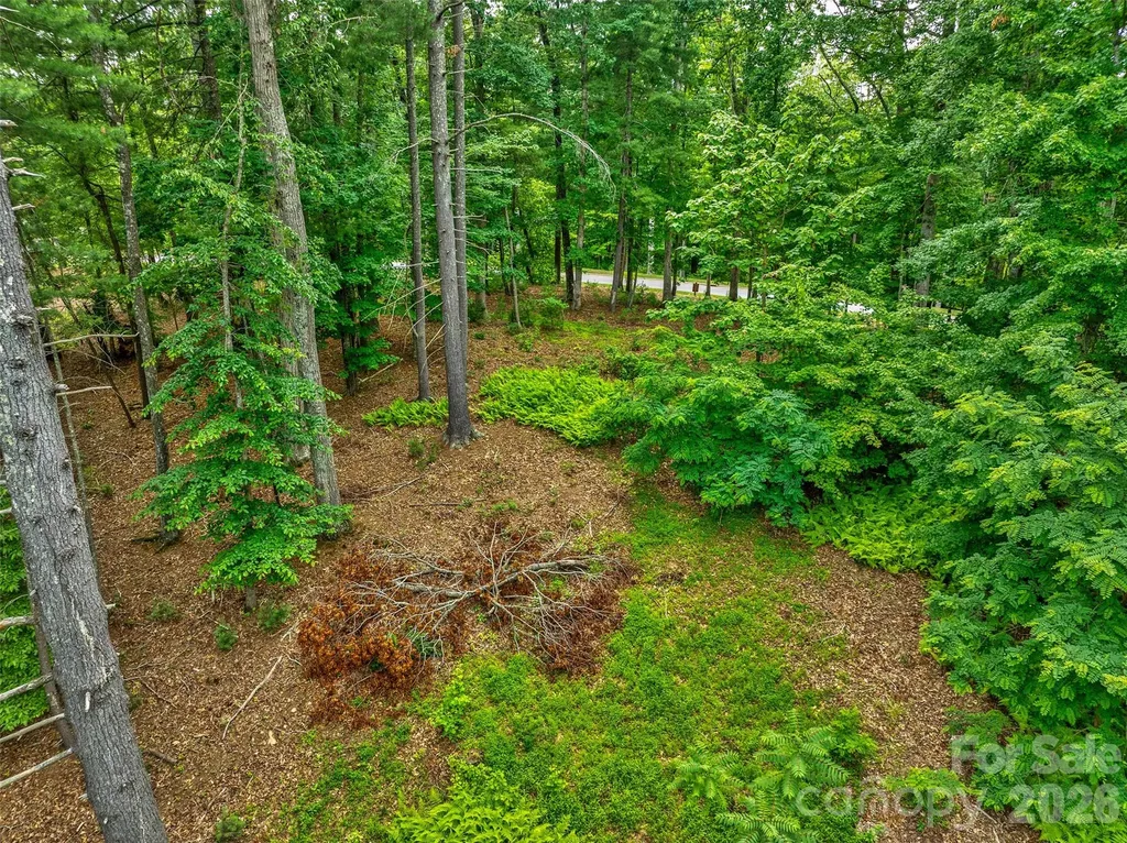17 Hendrickson Court Candler NC 28715
