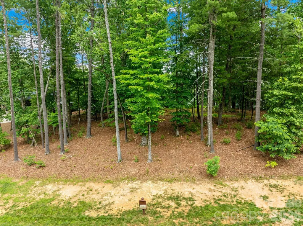 17 Hendrickson Court Candler NC 28715