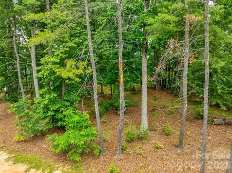 17 Hendrickson Court Candler NC 28715