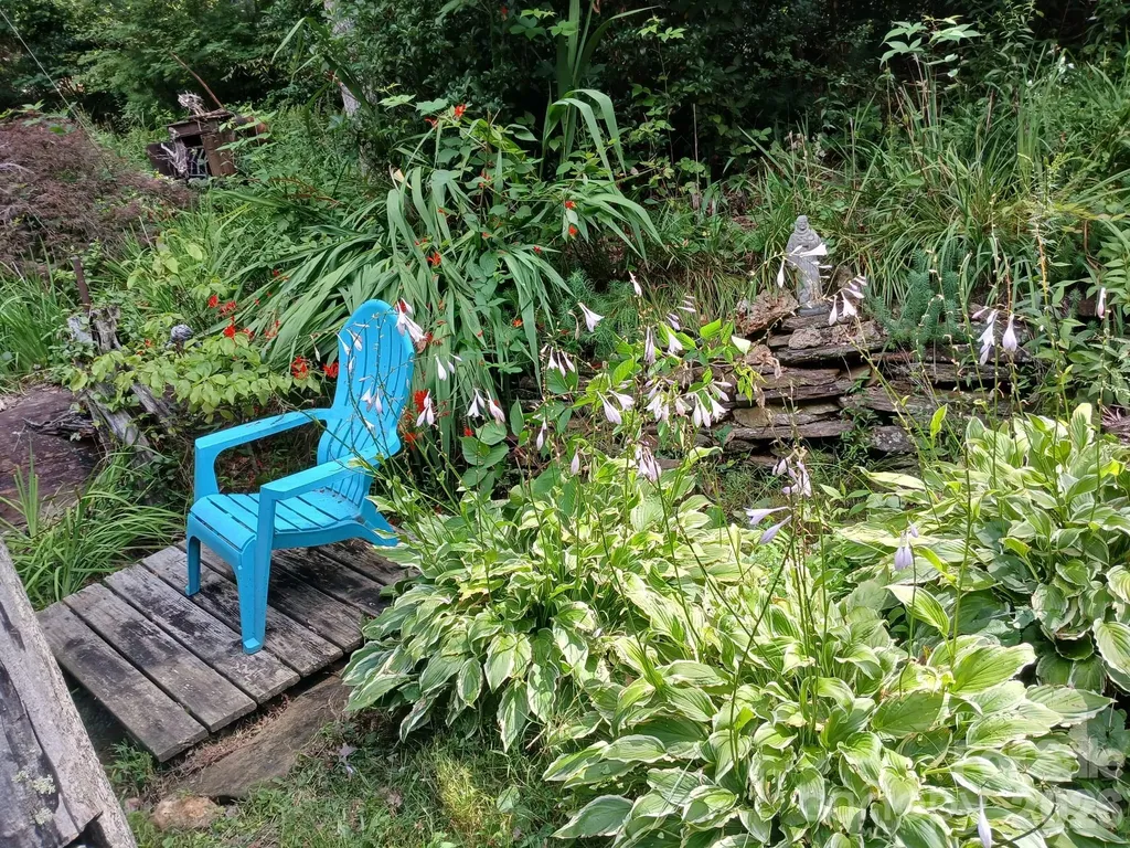 1694 Humpback Mountain Road Spruce Pine NC 28777