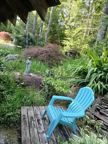 1694 Humpback Mountain Road Spruce Pine NC 28777