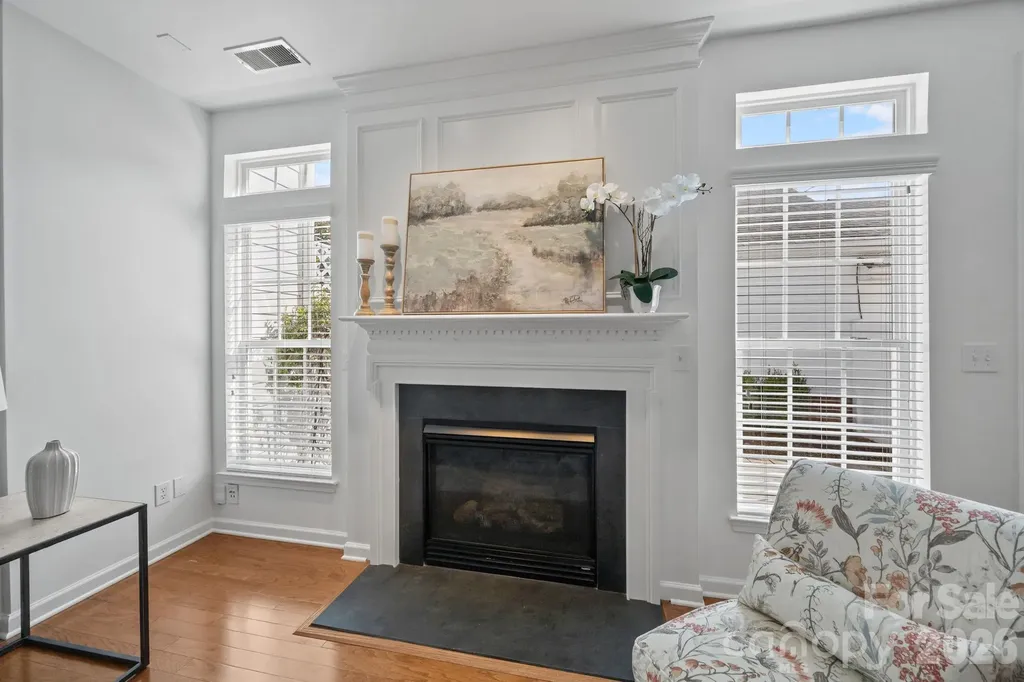 738 Naramore Street Davidson NC 28036